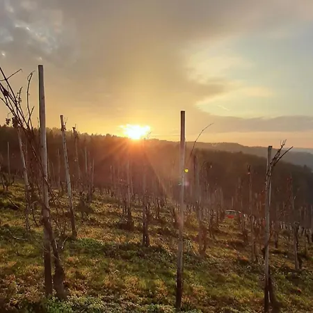 Express - By Ihg Hotel