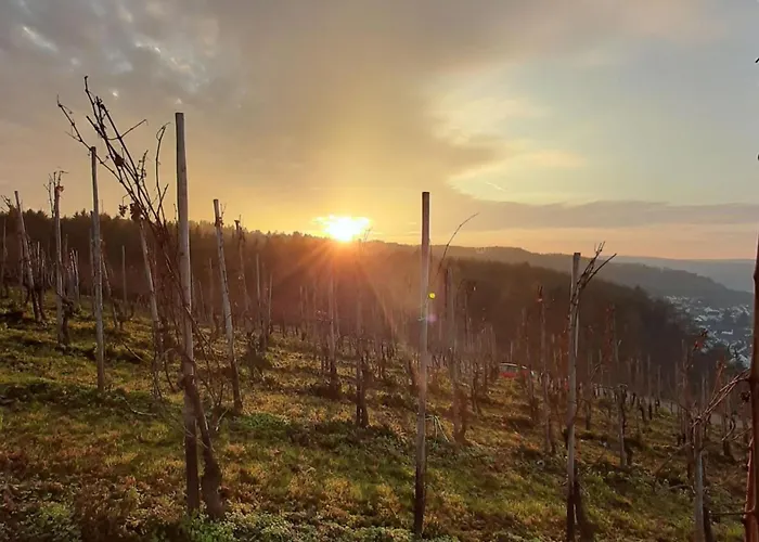 Express - By Ihg Hotel